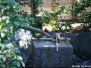 Japanese Gardens