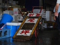 tsikiji-fish-market-cart.jpg tsikiji-fish-market-cart.jpg