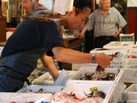 tsukiji-fish-market-tokyo-japan-buyer.jpg tsukiji-fish-market-tokyo-japan-buyer.jpg