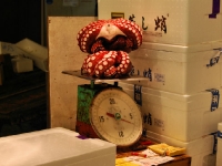 tsukiji-fish-market-tokyo-japan-tuna-auction8.jpg tsukiji-fish-market-tokyo-japan-tuna-auction8.jpg