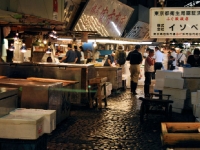 tsukiji-fish-market-tokyo-japan3.jpg tsukiji-fish-market-tokyo-japan3.jpg