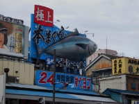 tsukiji-morning-market13.jpg tsukiji-morning-market13.jpg