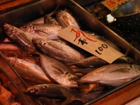tsukiji-morning-market3.jpg tsukiji-morning-market3.jpg
