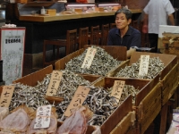 tsukiji-morning-market5.jpg tsukiji-morning-market5.jpg