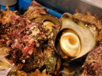 tsukiji-morning-market8.jpg tsukiji-morning-market8.jpg