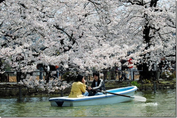 Ueno Shinobazu Pond Rowboat