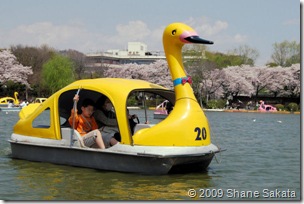 Ueno Shinobazu Pond Swan Boat