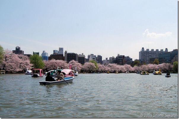 Ueno Shinobazu Pond Boat