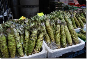 Tsukiji Morning Market Wasabi