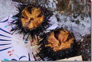 Tsukiji Morning Market7